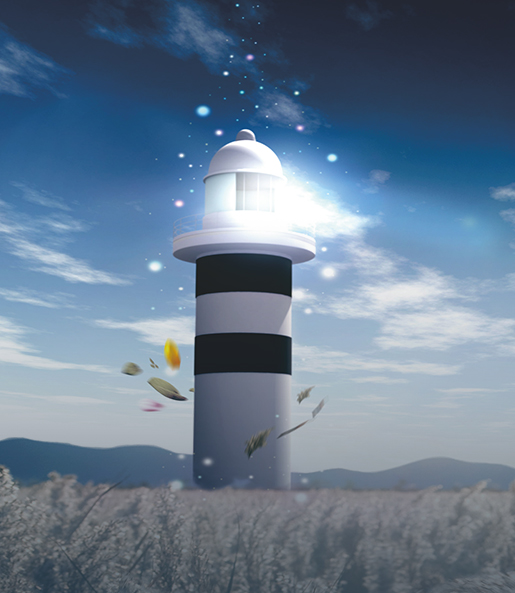 Direction Guidance Target